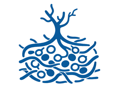 ColFi3D™ Tissue Platform